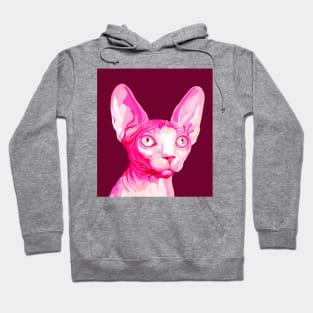 Pink Hairless Sphynx Cat Portrait Hoodie